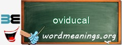 WordMeaning blackboard for oviducal